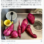 レス1番のサムネイル画像