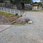 レス10番のサムネイル画像