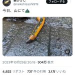 レス1番のサムネイル画像