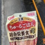 レス2番のサムネイル画像
