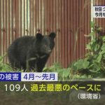 レス1番のサムネイル画像