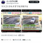 レス18番のサムネイル画像