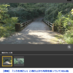 レス3番のサムネイル画像