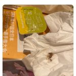 レス1番のサムネイル画像