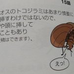 レス1番のサムネイル画像