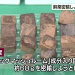 レス1番のサムネイル画像