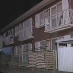 レス2番のサムネイル画像