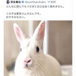レス1番のサムネイル画像