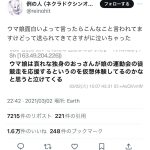 レス1番のサムネイル画像