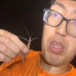 レス1番のサムネイル画像