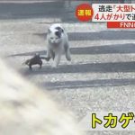 レス1番のサムネイル画像