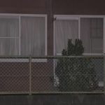 レス2番のサムネイル画像