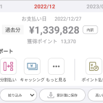 レス12番のサムネイル画像