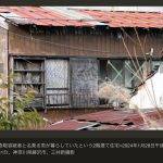 レス1番のサムネイル画像