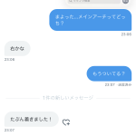 レス17番のサムネイル画像