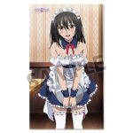 レス28番のサムネイル画像