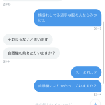 レス29番のサムネイル画像