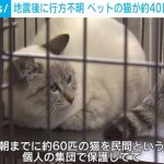 レス2番のサムネイル画像