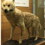レス2番のサムネイル画像