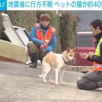 レス2番のサムネイル画像
