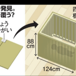 レス33番のサムネイル画像