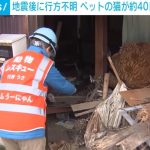 レス2番のサムネイル画像