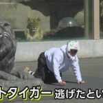 レス2番のサムネイル画像