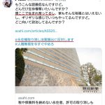 レス1番のサムネイル画像