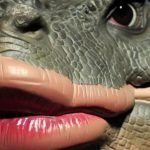 レス1番のサムネイル画像