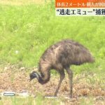 レス1番のサムネイル画像
