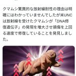 レス1番のサムネイル画像