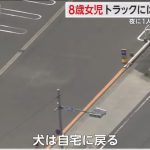 レス2番のサムネイル画像