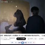 レス1番のサムネイル画像