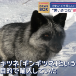 レス2番のサムネイル画像