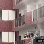 レス1番のサムネイル画像