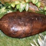 レス1番のサムネイル画像