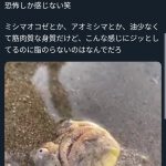 レス1番のサムネイル画像