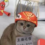 レス4番のサムネイル画像
