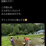 レス1番のサムネイル画像