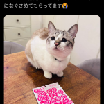 レス1番のサムネイル画像
