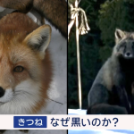 レス2番のサムネイル画像