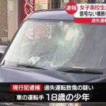 レス1番のサムネイル画像