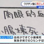 レス6番のサムネイル画像