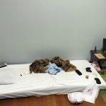 レス51番のサムネイル画像