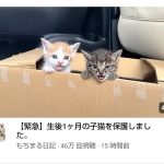 レス1番のサムネイル画像
