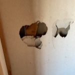 レス1番のサムネイル画像