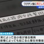 レス19番のサムネイル画像