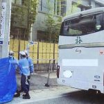 レス3番のサムネイル画像