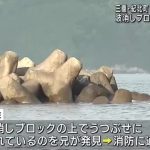 レス1番のサムネイル画像