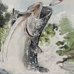 レス2番のサムネイル画像